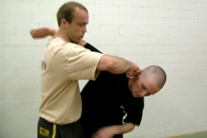 Systema